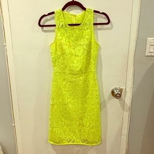 Neon Lace J Crew Dress